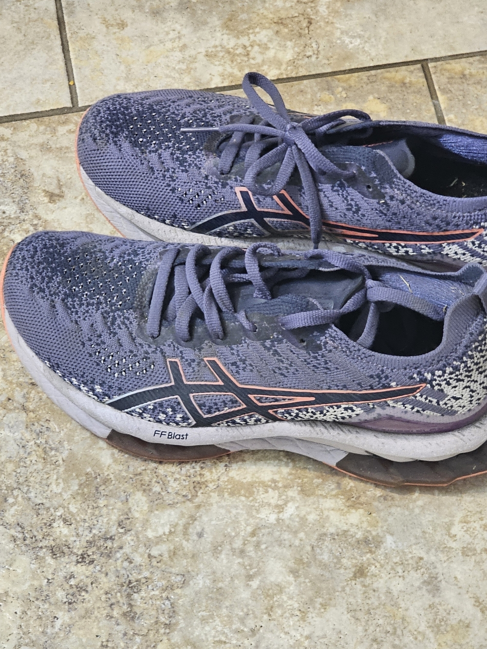 ASICS Women's Navy and Pink Running Shoes